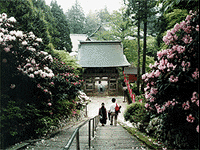 太龍寺（21番札所）