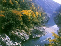 大歩危小歩危（舟下り）